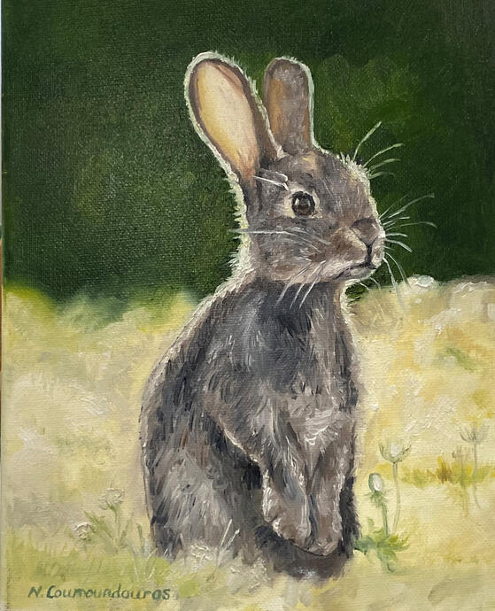 Bunny