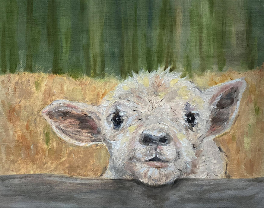 Lamb