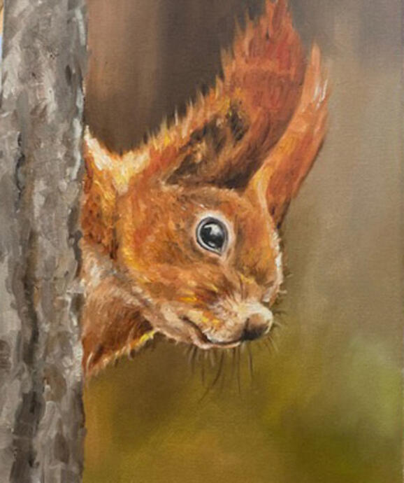 Squirrel