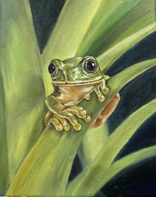 Frog