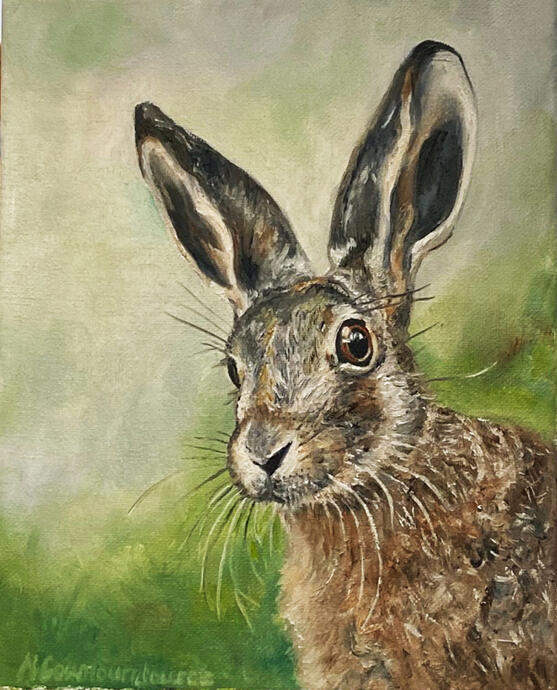 Bunny