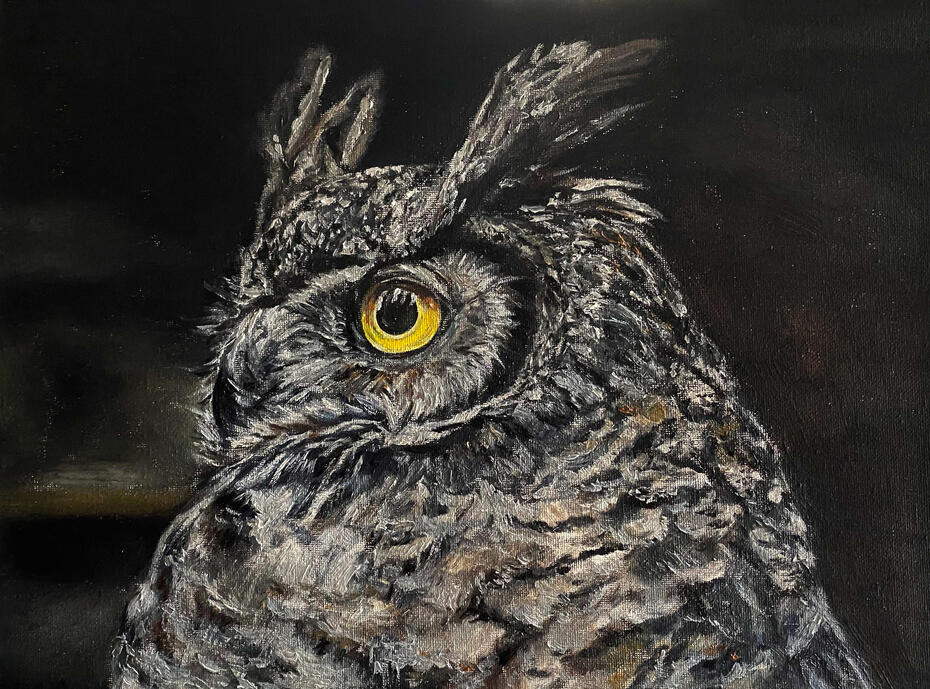 Owl