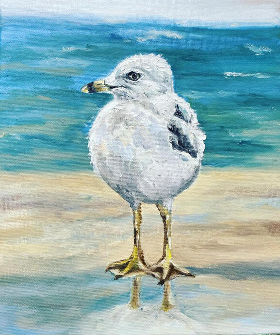 Gull