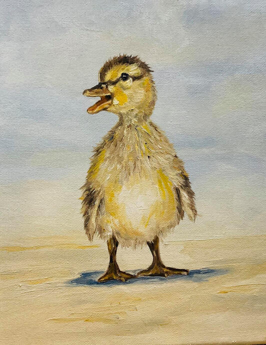 Duck